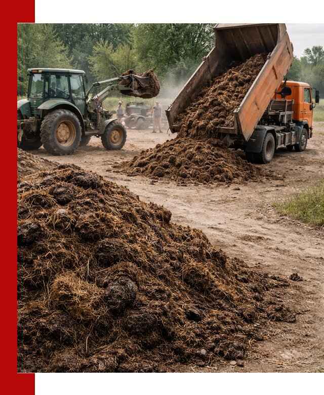 Доставка навоза самосвалами в Вичуге для сельхозпотребностей