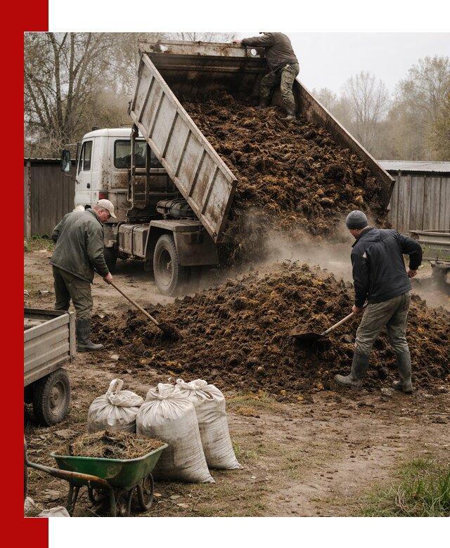 Доставка коровьего навоза самосвалом в Вичуге